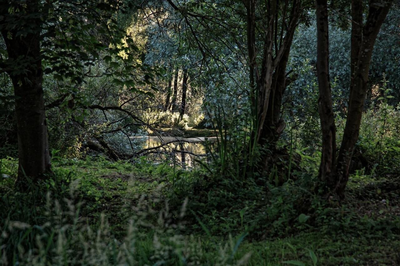 Les Cabanes Des Marais La Madelaine-sous-Montreuil Buitenkant foto